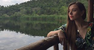 elvan disli 11